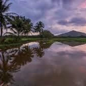 Meet your Posher, Chrisira